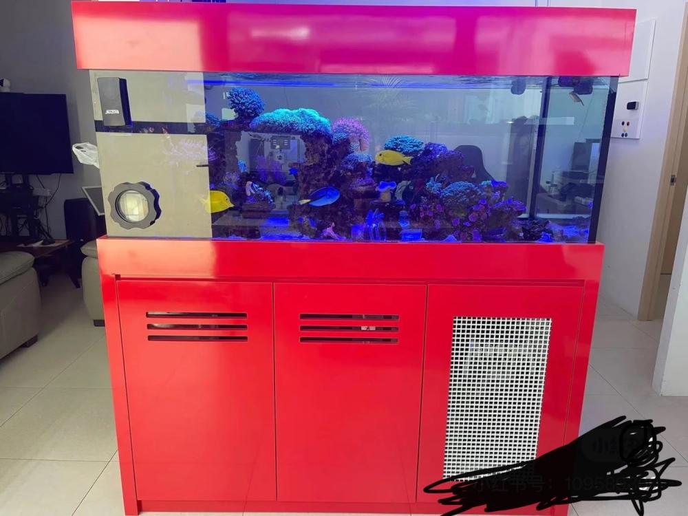 FOC marine fish tank ( 2 years) Sell off/Pasar Malam Shop
