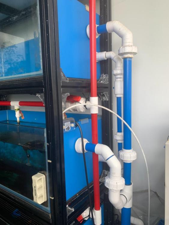 4 tier Aluminium frame breeding tanks for sale(well used) Sell off