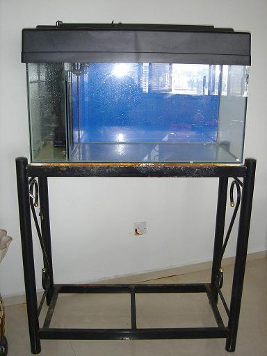 3 feet aquarium