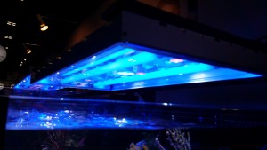 Revo Reef lighting