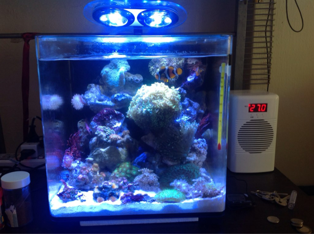 How to keep your aquarium cool during an Emergency ?