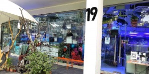 specialised aquatic solution