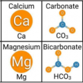 reef chemistry