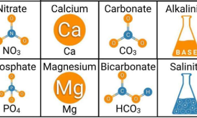 BASIC REEF CHEMISTRY (PART I)