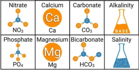 BASIC REEF CHEMISTRY (PART I)