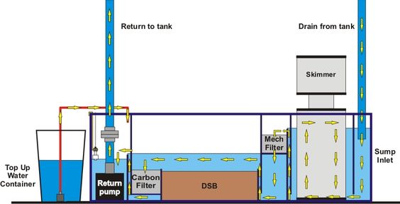 How to Set up a marine saltwater aquarium tank ? - Singapore Reef Club -  Marine Reef saltwater Aquarium tank information resources portal